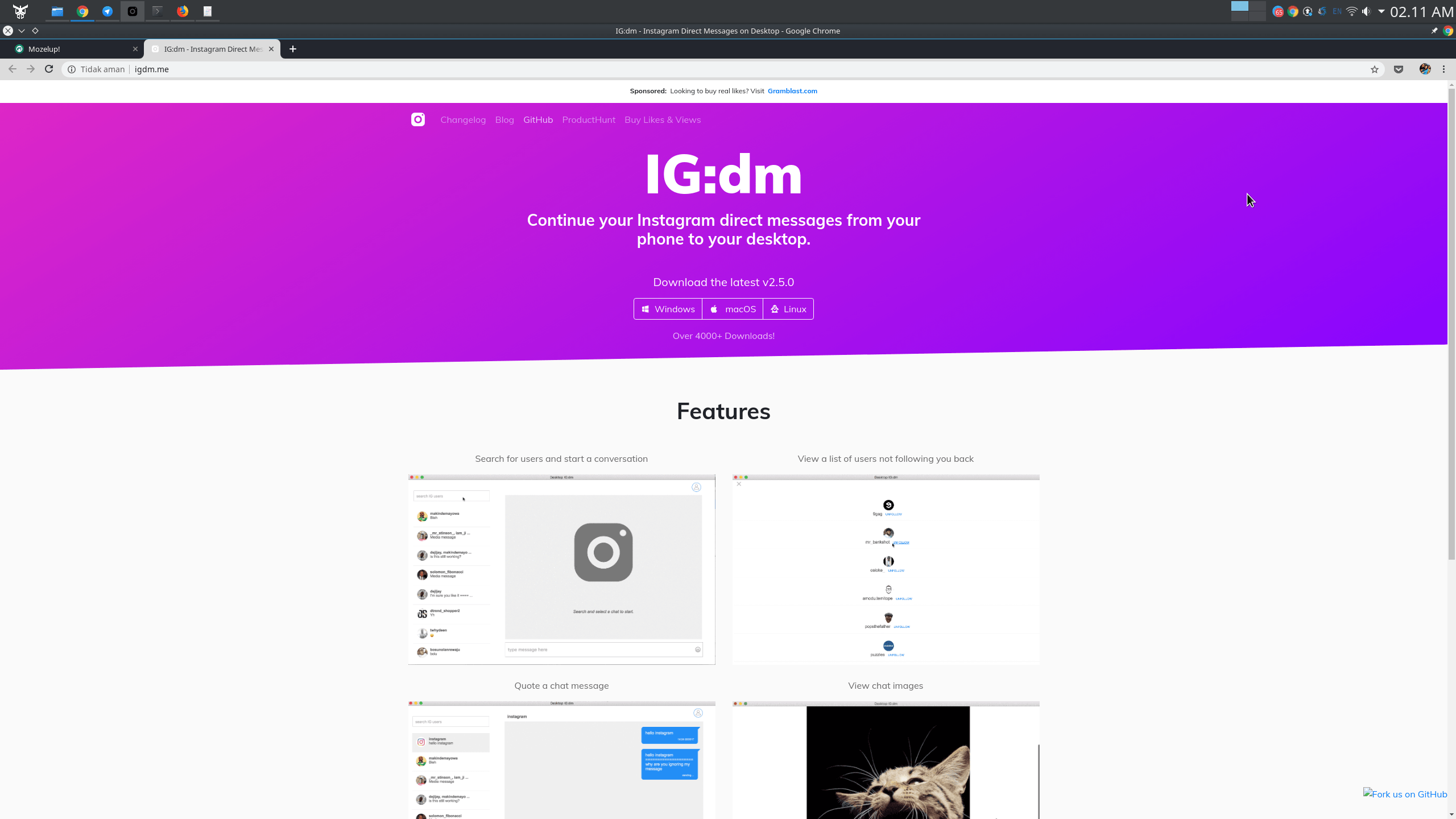 Halaman WEB IGdm